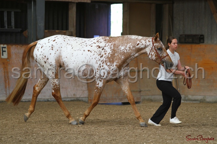 24-ApHC HIH_056.jpg